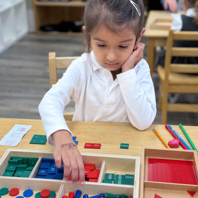 Comprehensive Montessori Curriculum